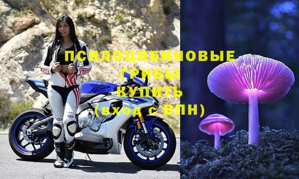 крисы Армянск
