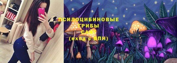 метадон Арсеньев