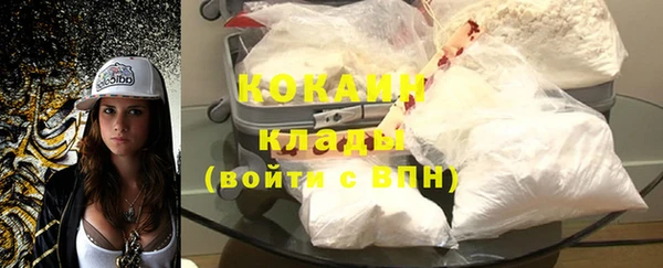 крисы Армянск